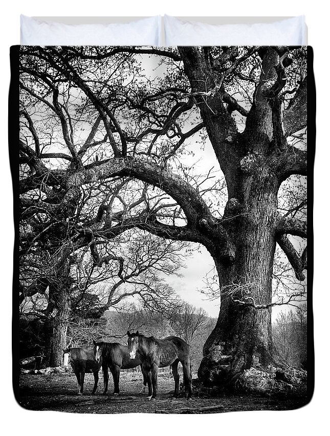 Horses Duvet Cover featuring the photograph Three Under A Tree In Black and White by Greg and Chrystal Mimbs