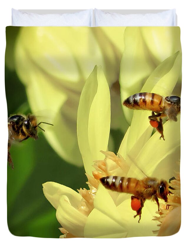 Bees Duvet Cover featuring the photograph Threes Company Bees by Jennie Breeze