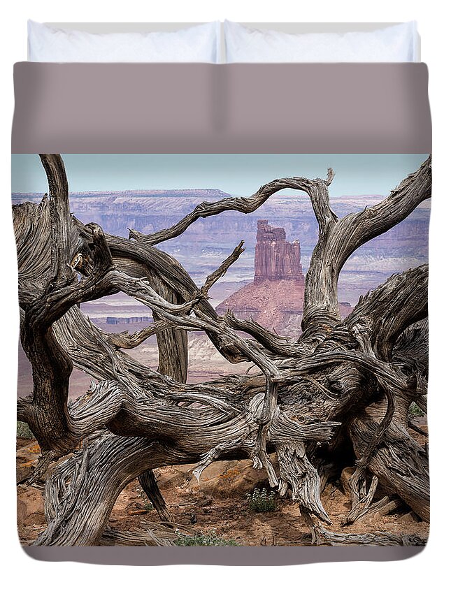 Canyonlands Duvet Cover featuring the photograph Through Knotted Branches by Denise Bush
