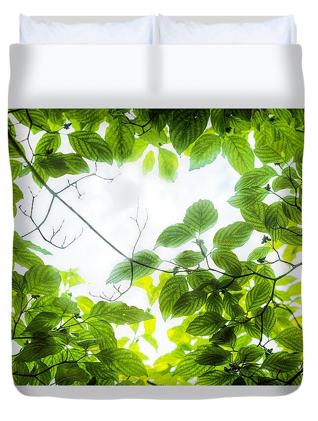 Leaves Duvet Cover featuring the photograph Through the leaves by David Coblitz