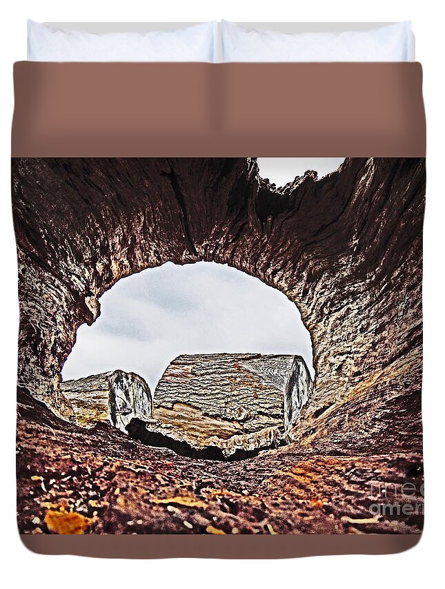  Duvet Cover featuring the photograph Through the Looking Log 2 by David Frederick