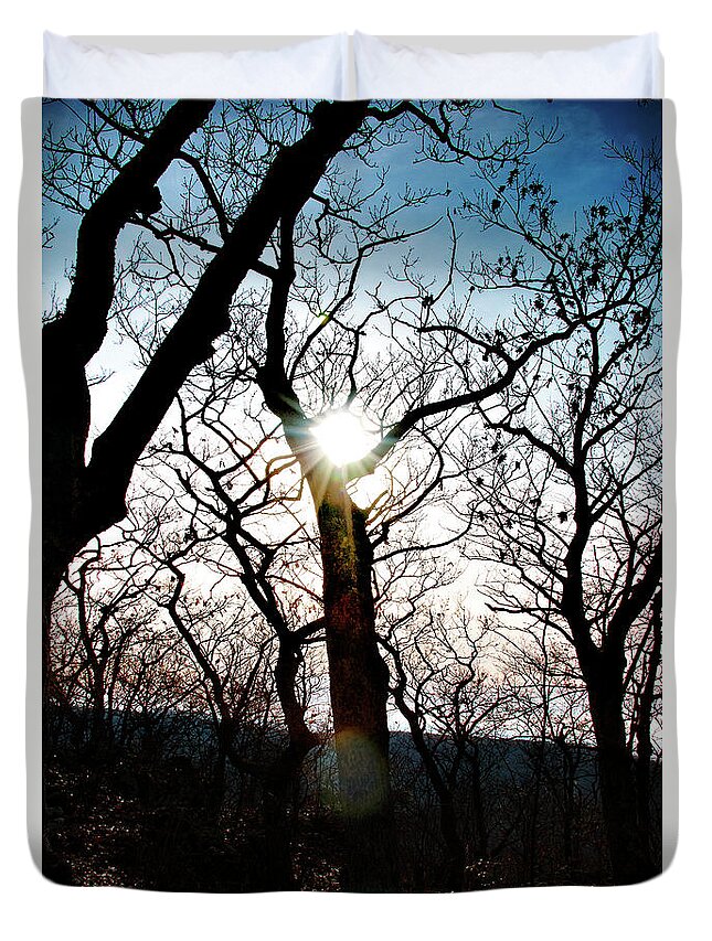 Through Duvet Cover featuring the photograph Through the Trees by Rebecca Davis