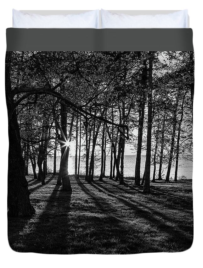 Trees Duvet Cover featuring the photograph Thru the Trees by Rod Best