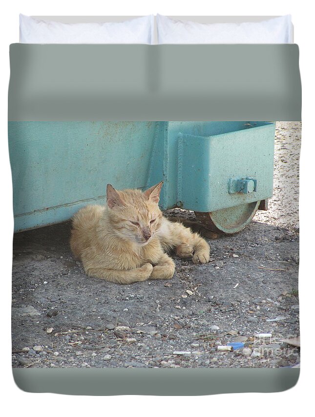 Cat Duvet Cover featuring the photograph Tiberius Israel Cat #3 by Donna L Munro