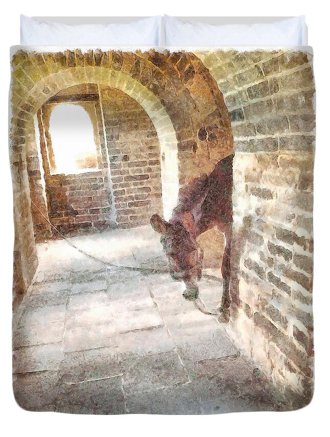 Donkey Duvet Cover featuring the photograph Tied donkey in brick structure by Ashish Agarwal