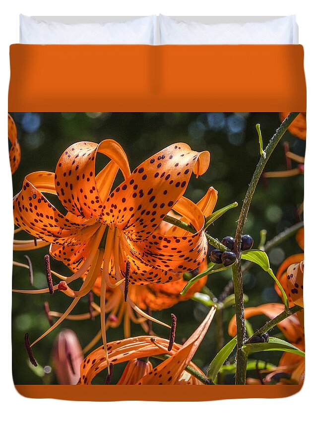 Tiger Lilies Duvet Cover featuring the photograph Tiger Lilies in the Sun by Lynn Hansen