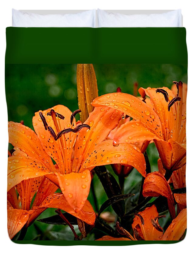 Tiger Lily Duvet Cover featuring the photograph Tiger Lilies with Spring Shower by Paula Ponath