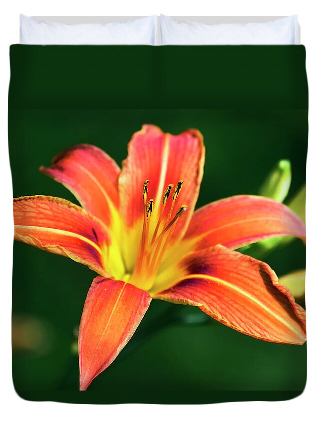 Lily Duvet Cover featuring the photograph Tiger Lily by Christina Rollo