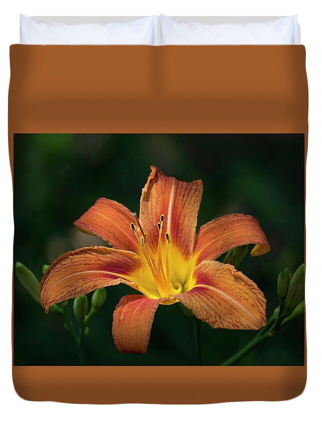 Fauna Duvet Cover featuring the photograph Tiger Lily II by Richard Macquade