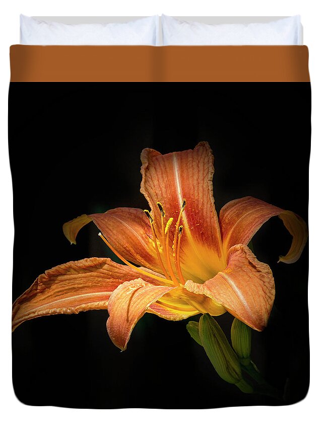 Fauna Duvet Cover featuring the photograph Tiger Lily by Richard Macquade