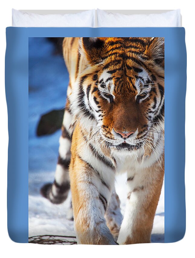 Tiger Strut Duvet Cover featuring the photograph Tiger Strut by Karol Livote