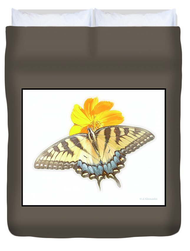 Tiger Swallowtail Butterfly Duvet Cover featuring the digital art Tiger Swallowtail Butterfly, Cosmos Flower by A Macarthur Gurmankin