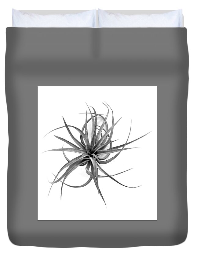 Tillandsia Duvet Cover featuring the photograph Tillandsia Airplant by Nathan Abbott