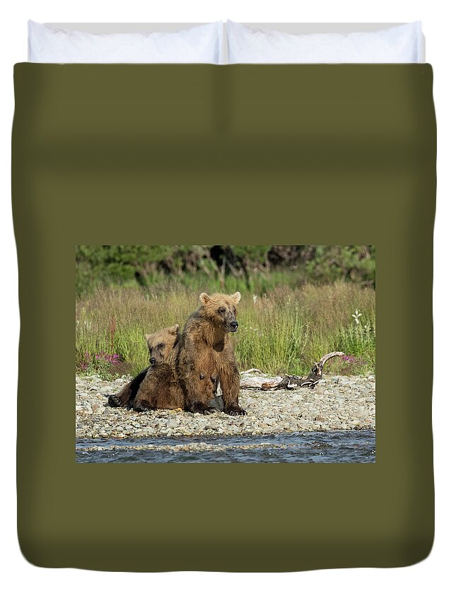 Alaska Duvet Cover featuring the photograph Time For a Nap by Cheryl Strahl
