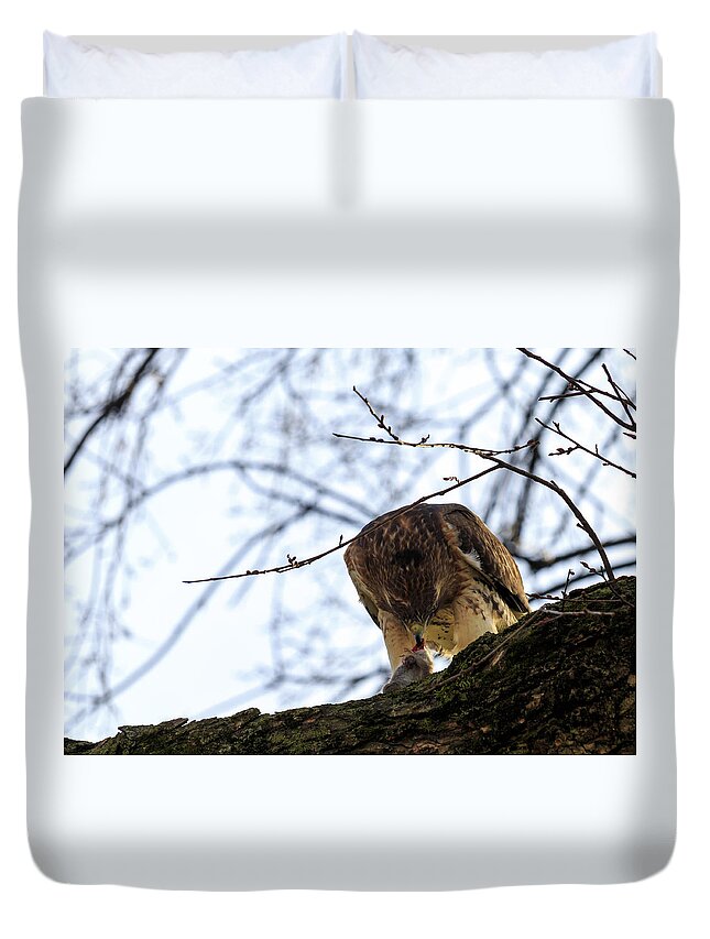 Anguish Duvet Cover featuring the photograph Time for Dinner by Travis Rogers