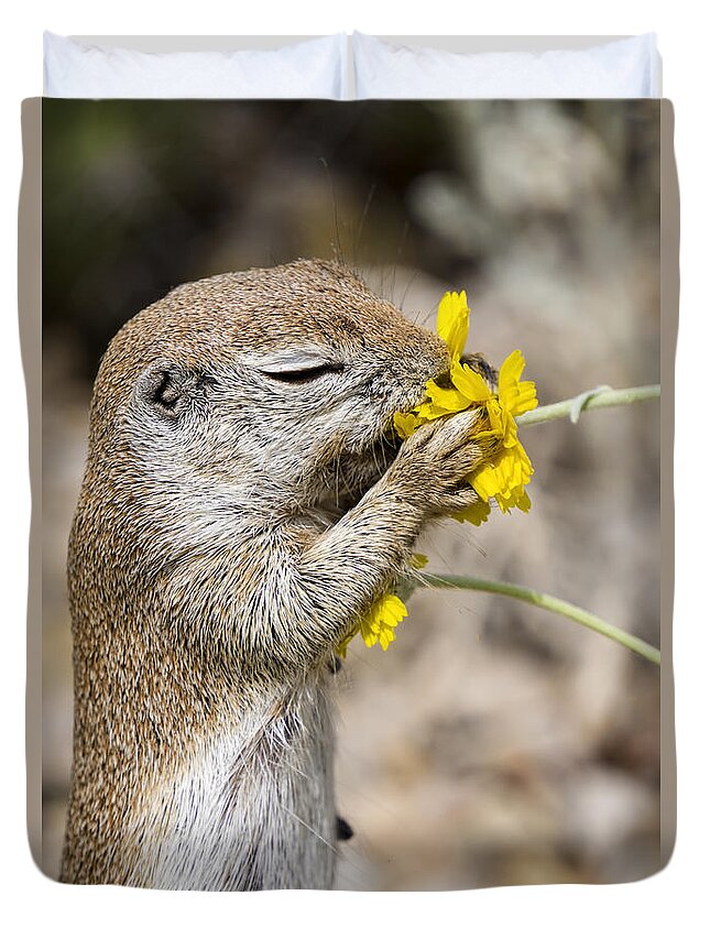 Ground Squirrel Duvet Cover featuring the photograph Take Some Time and Smell the Flowers by Saija Lehtonen