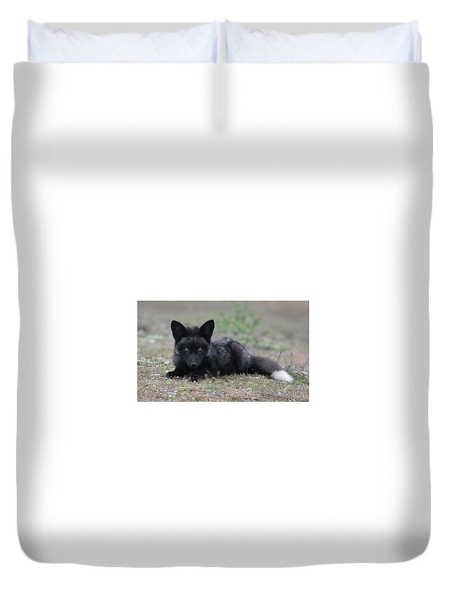 Fox Duvet Cover featuring the photograph Here's looking at you by Elvira Butler