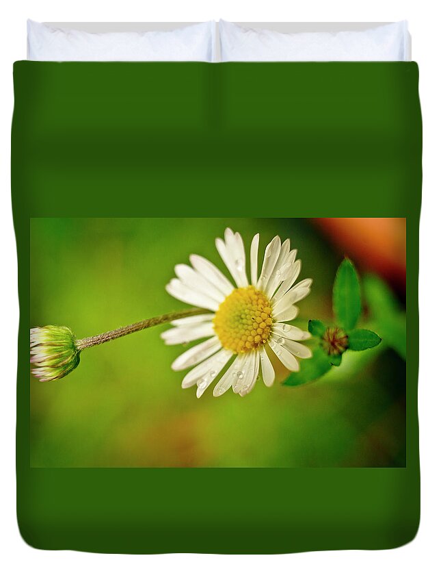 Flowers Duvet Cover featuring the photograph Tiny Daisy and Raindrops. by Elena Perelman