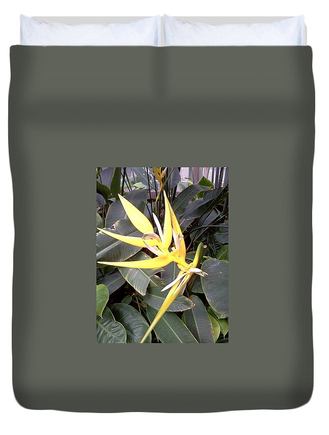 Yellow Duvet Cover featuring the photograph Tiny Dancer by Pamela Henry