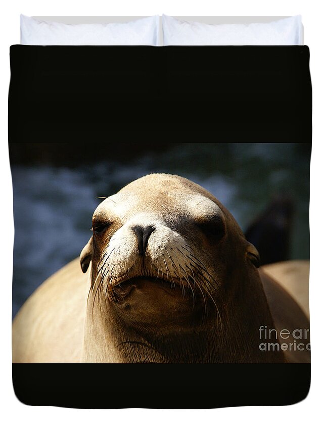 Eared Seal Duvet Cover featuring the photograph To Bask in Royal Sun by Linda Shafer