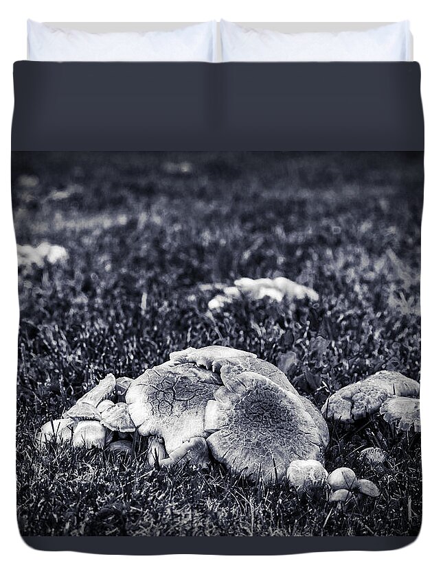Growing Duvet Cover featuring the photograph Toadstool Monochrome by Chris Bordeleau