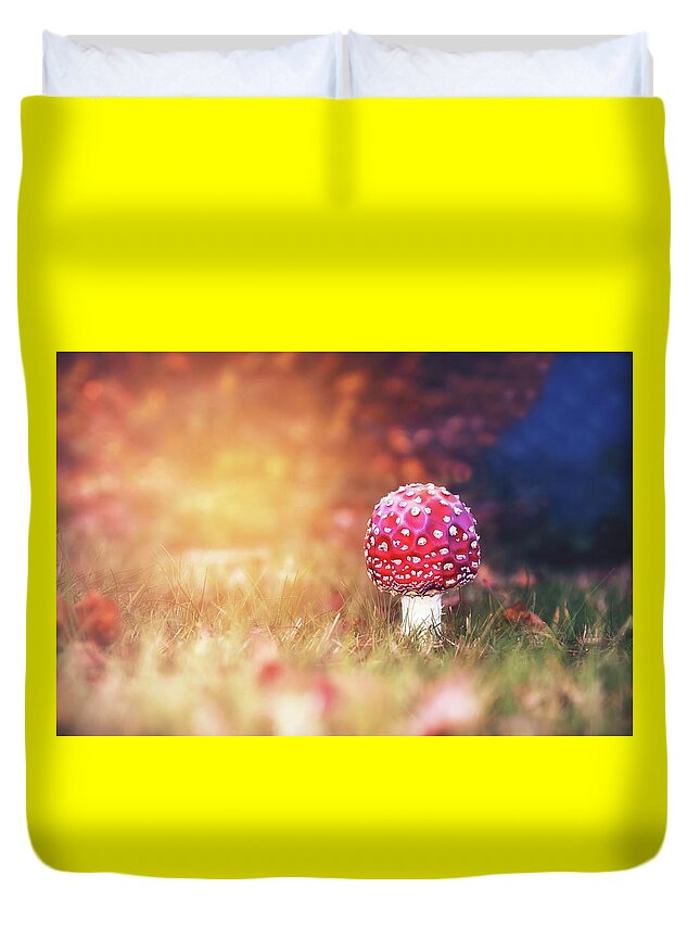 Toadstool Duvet Cover featuring the photograph Toadstool Story by Jaroslav Buna
