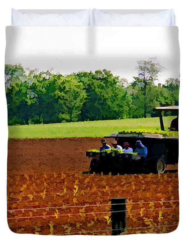 Farmlife Duvet Cover featuring the photograph Tobacco Planting by Sam Davis Johnson