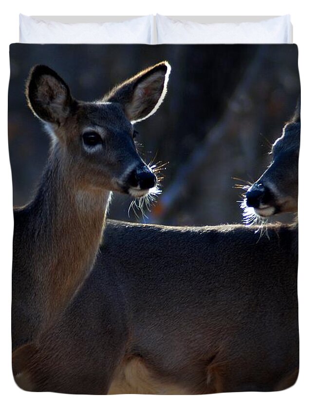 Deer Duvet Cover featuring the photograph Together Again by Bill Stephens