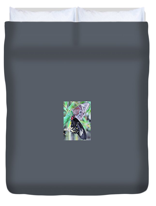 Butterfly Duvet Cover featuring the photograph Together Always by Kicking Bear Productions