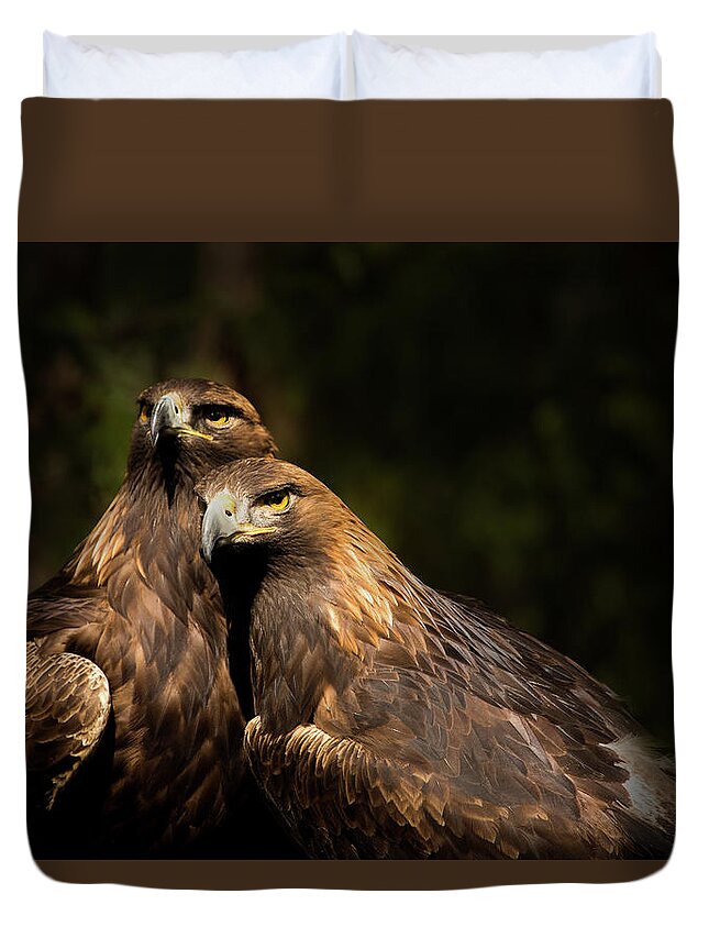 Bird Duvet Cover featuring the photograph Together by Bob Cournoyer