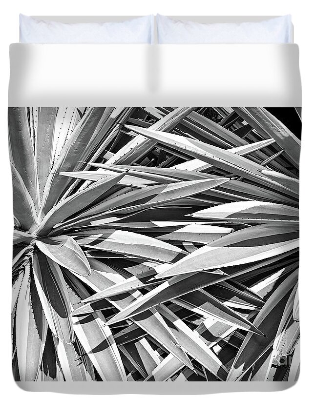Landscape Duvet Cover featuring the photograph Together by Jim Rossol
