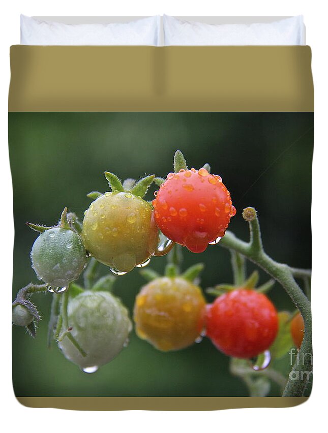 Tomatoes Duvet Cover featuring the photograph Tomatoes in the Rain by Suzanne Oesterling
