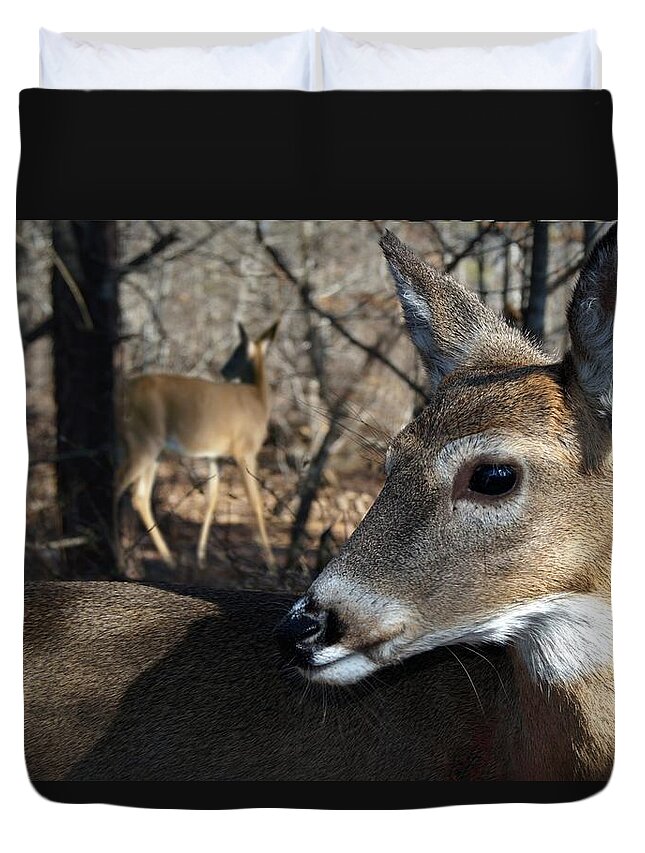Deer Duvet Cover featuring the photograph Too Cool by Bill Stephens