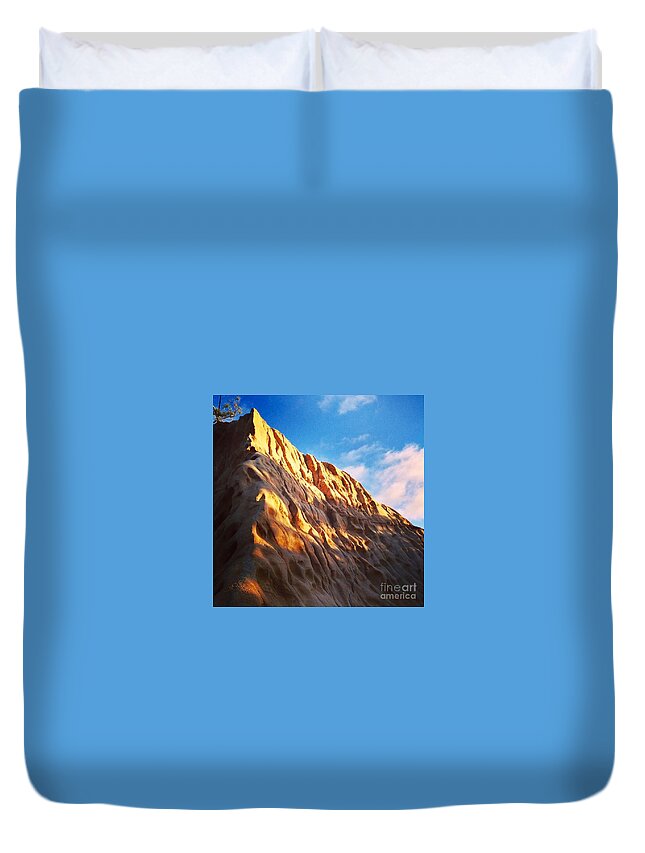 Torrey Pines State Reserve Duvet Cover featuring the photograph Torrey Pines State Reserve by Denise Railey