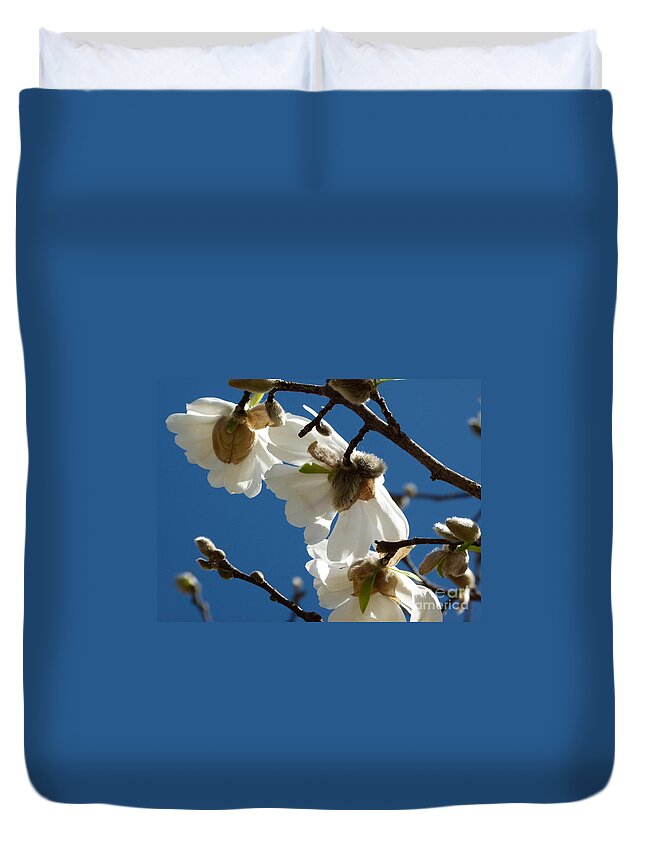 Serviceberry Flowers Duvet Cover featuring the photograph Touch Of Spring by Jane Ford