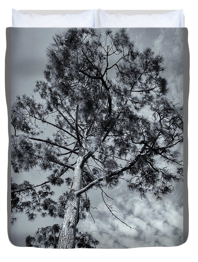 Tree Duvet Cover featuring the photograph Towering by Linda Lees