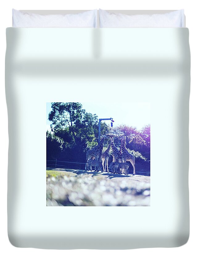  Duvet Cover featuring the photograph Traffic Stop For The Animals by Aleck Cartwright