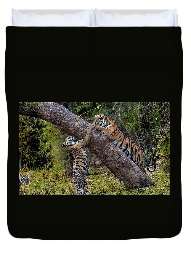 Tiger Duvet Cover featuring the photograph Training Session by Pravine Chester