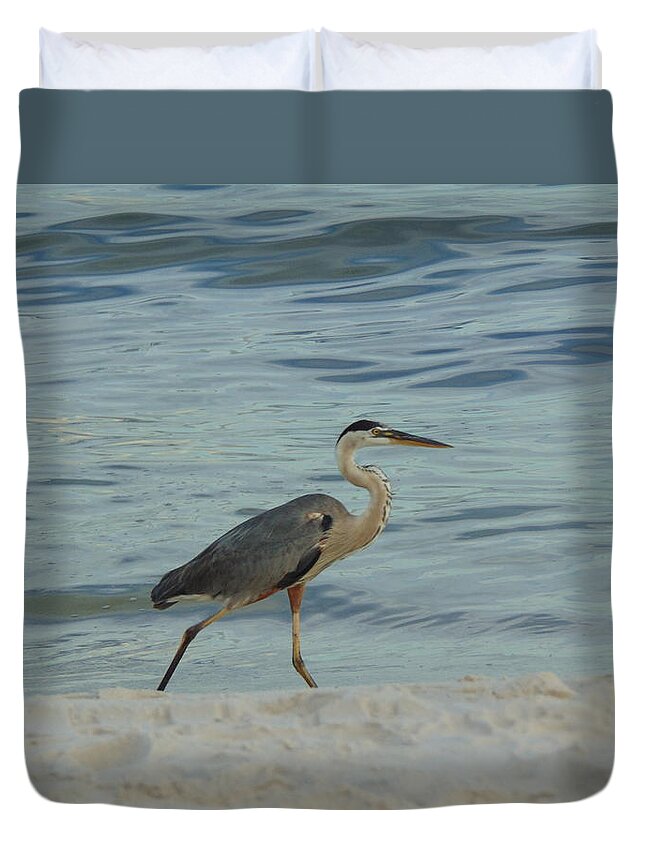 Birds Duvet Cover featuring the photograph Ocean Wanderer by Richie Parks
