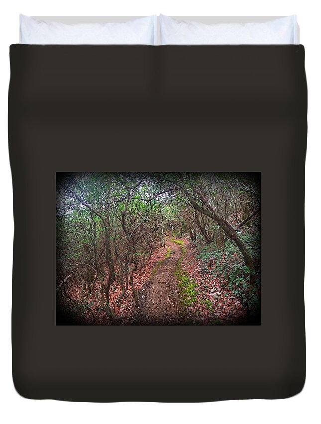 Trails Duvet Cover featuring the photograph Tray Mountain by Richie Parks