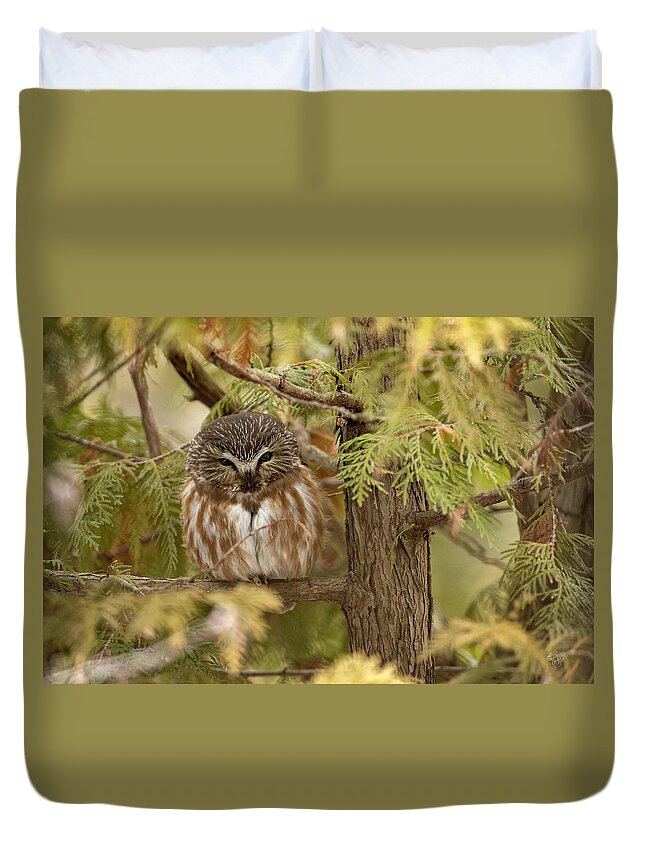 Owl Duvet Cover featuring the photograph Treasures of the Forest by Everet Regal