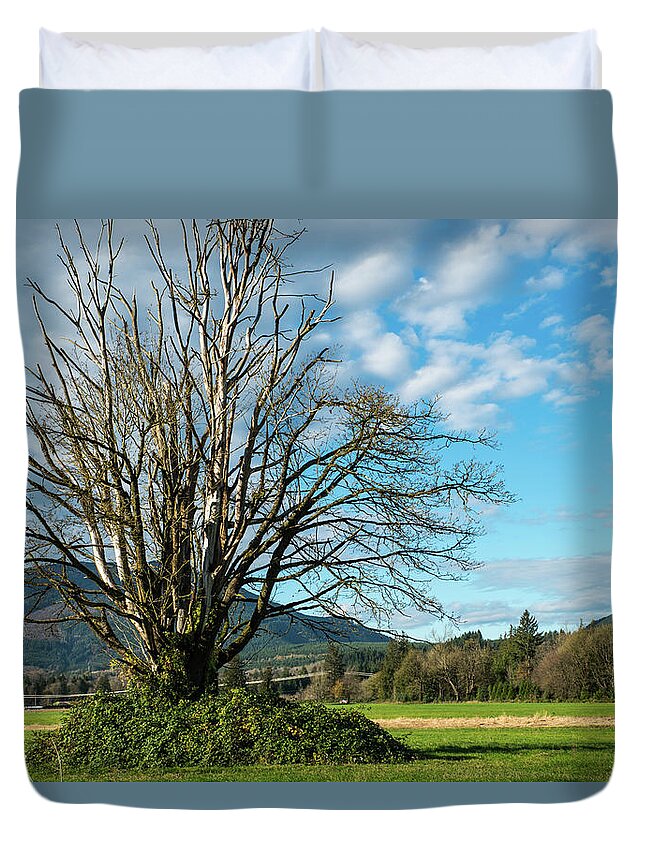 Tree Duvet Cover featuring the photograph Tree and Sky by Tom Cochran