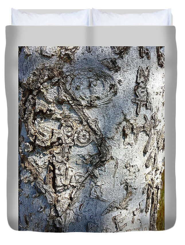  Duvet Cover featuring the photograph Tree at Pitt Street Pier by Pat Exum