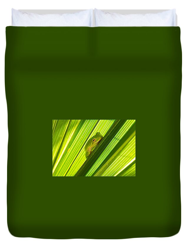 Wildlife Duvet Cover featuring the photograph Tree Frog and Palm Frond by Kenneth Albin