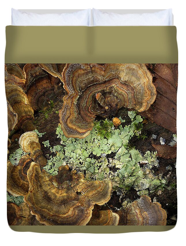Fungus Duvet Cover featuring the photograph Tree Fungus by Mike Eingle