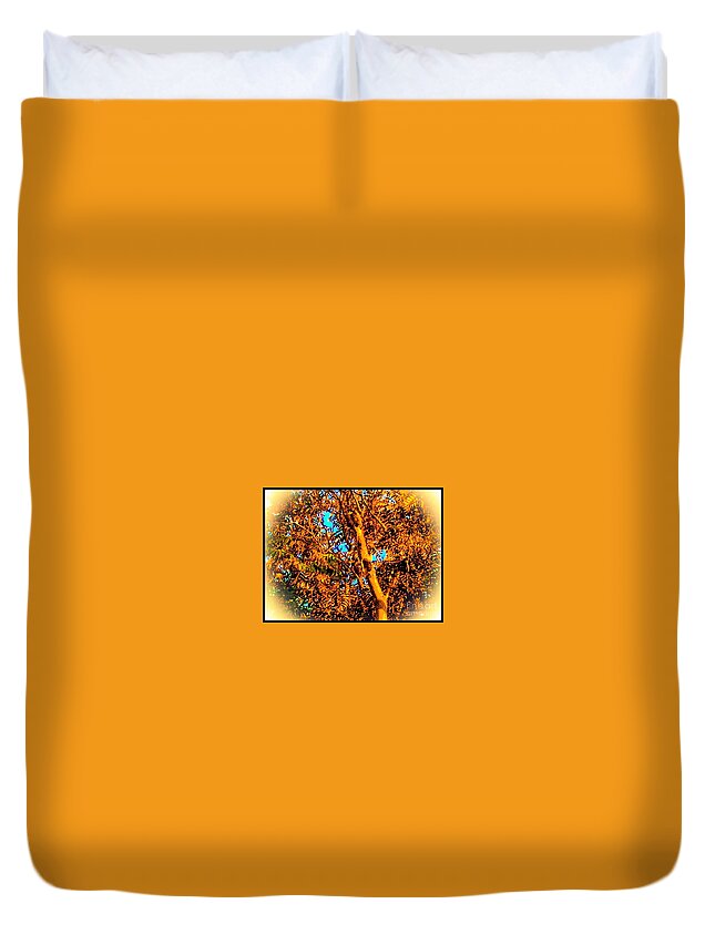 Tree Duvet Cover featuring the photograph Tree In Golden Glow by Debra Lynch