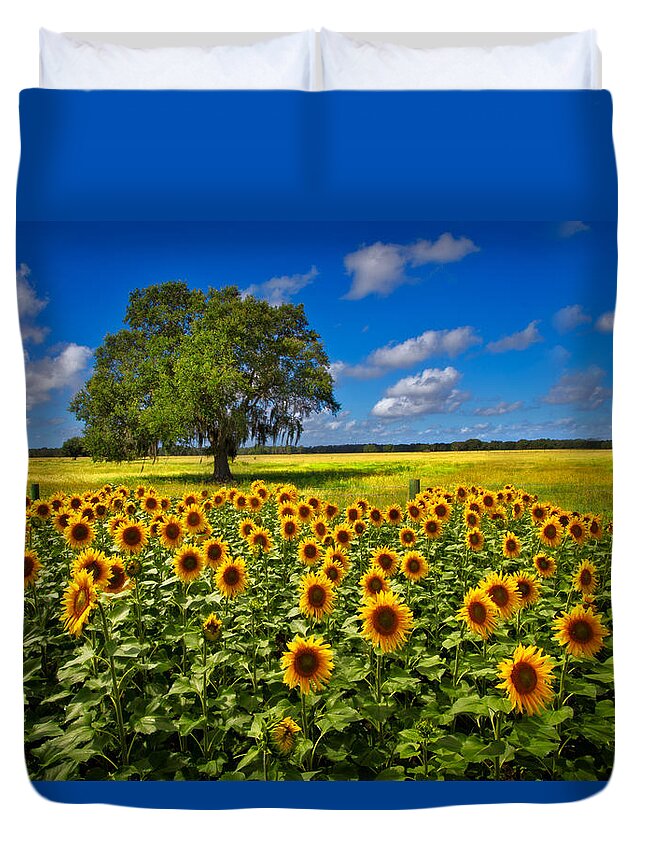 Clouds Duvet Cover featuring the photograph Tree in the Sunflower Field by Debra and Dave Vanderlaan