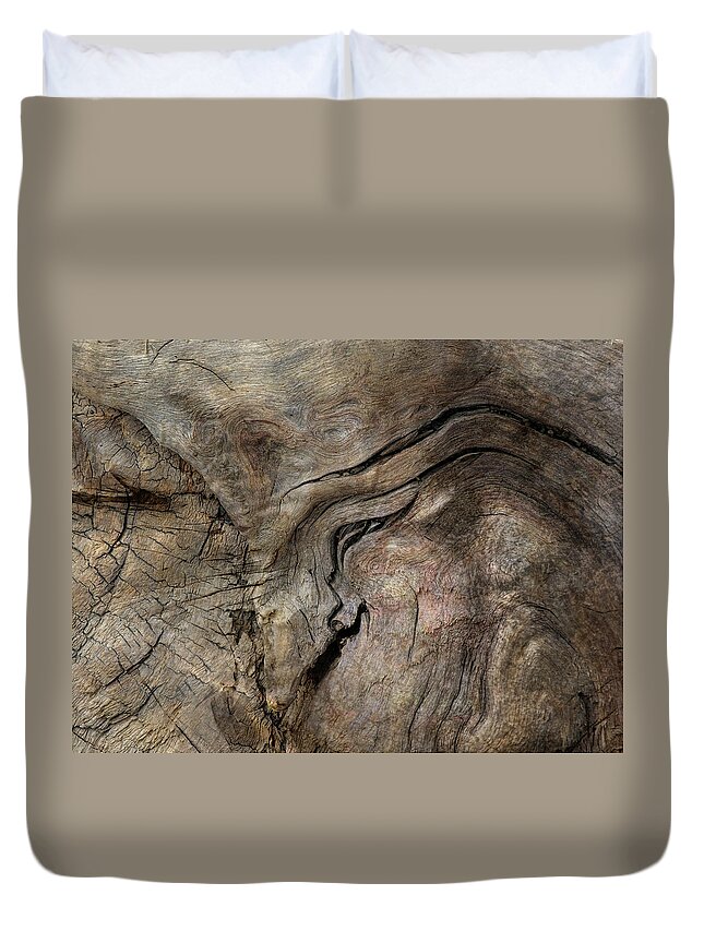 Trees Duvet Cover featuring the photograph Tree Memories # 23 by Ed Hall