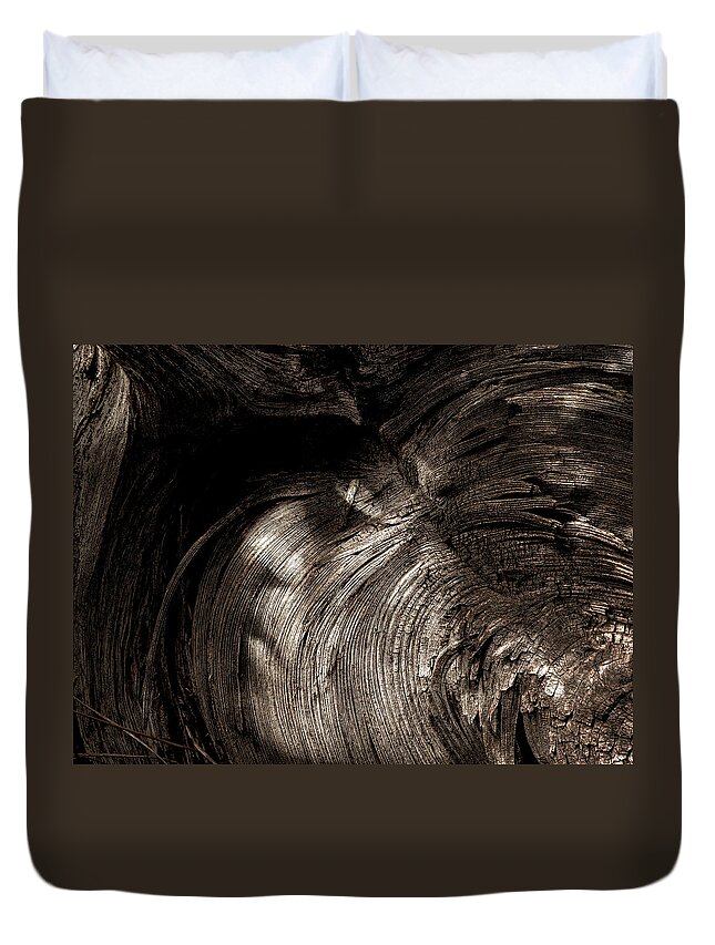 Trees Duvet Cover featuring the photograph Tree Memories # 31 by Ed Hall