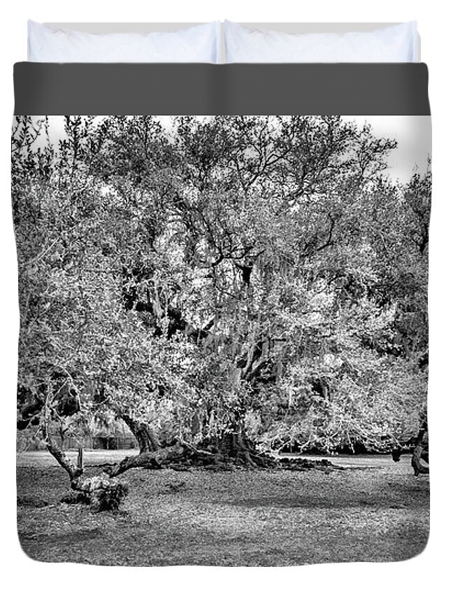 New Orleans Duvet Cover featuring the photograph Tree of Life 2 - Paint bw by Steve Harrington